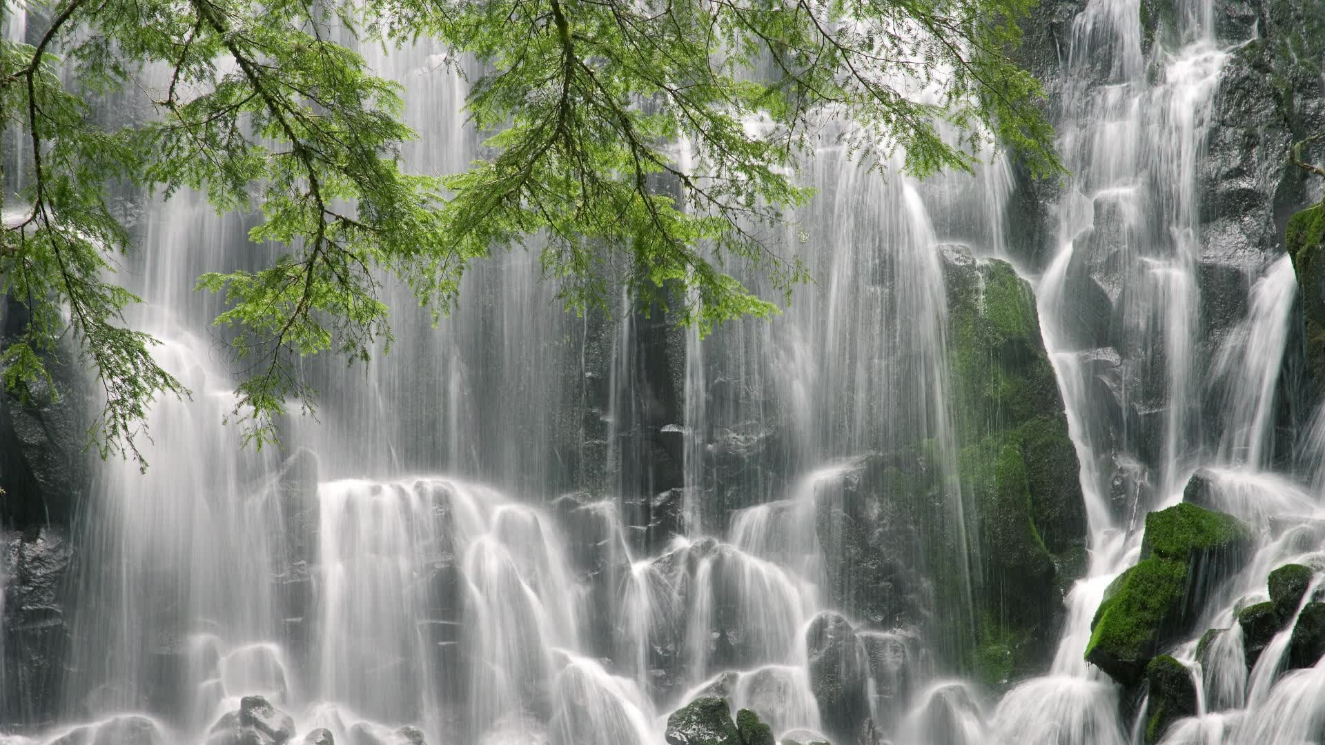 世界体操单项赛全国青训选拔启动，世界体操锦标赛